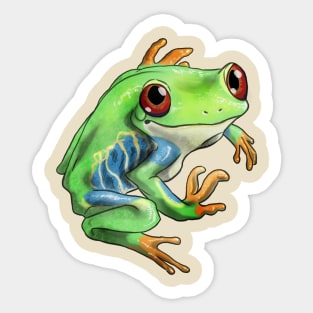 Red-eyed treefrog (Agalychnis callidryas) Sticker